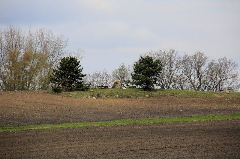 Der Bockelsberg, mit 25,4 m die höchste Erhebung in Bliedersdorf