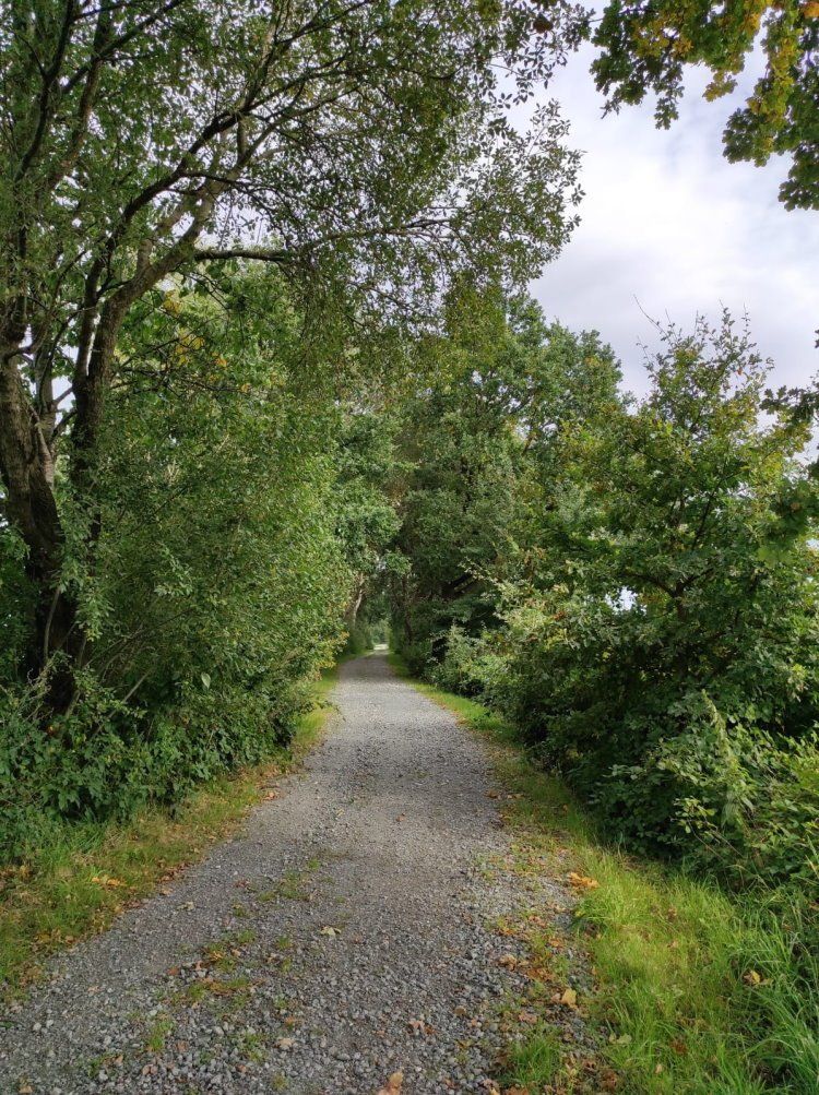 Impression am neuen Bliedersdorfer Heuweg