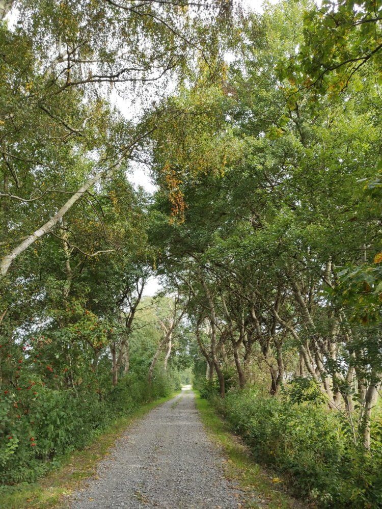 Impression am neuen Bliedersdorfer Heuweg