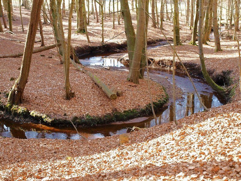 Herbst im Steinbecktal bei Bliedersdorf