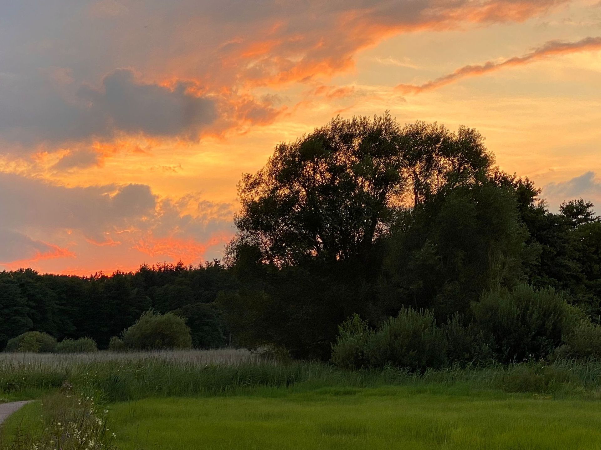 Sonnenuntergang im Auetal I am Daudiecker Weg in Bliedersdorf