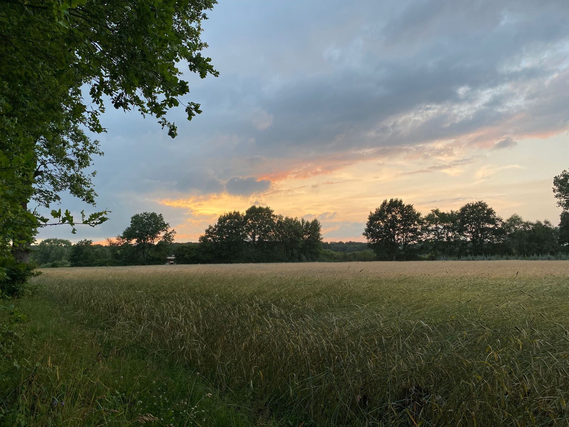 Sonnenuntergang III in der Feldmark von Bliedersdorf