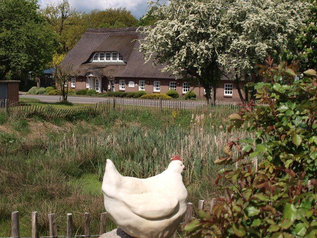 Viebrocks Gasthaus  Hohebrügge in Bliedersdorf