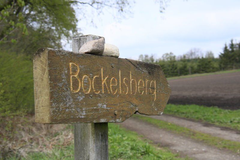 Hier geht`s  zum Bockelsberg bei Bliedersdorf