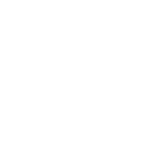 White DSCF logo