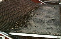 Roof maintenance