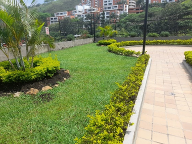 Un exuberante parque verde con un camino de ladrillos y una valla.