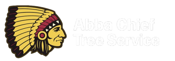 Logo with Native American headdress and text: "American Indian Education".