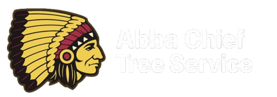 Logo with Native American headdress and text: "American Indian Education".