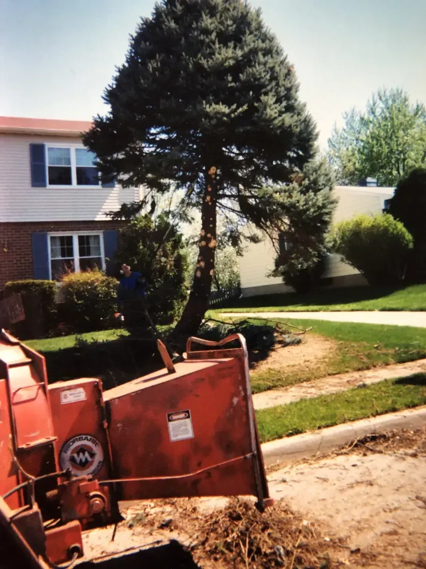 A wood chipper on a lawn near a house, tree, and person in blue.