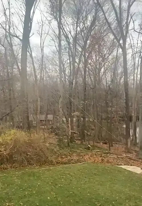Lush green lawn in foreground leads to bare trees and a distant house under a cloudy sky.