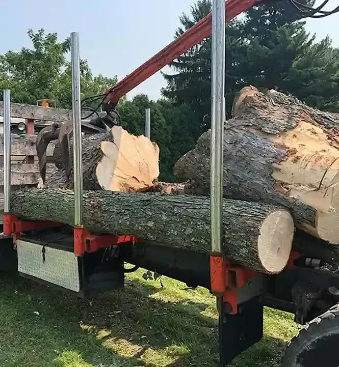 A truck loading large logs with a crane; logs are light brown and gray, set in a grassy area.