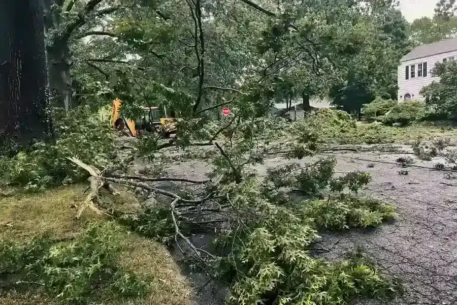 Storm damage: fallen tree branches litter street and yard; heavy equipment in background.