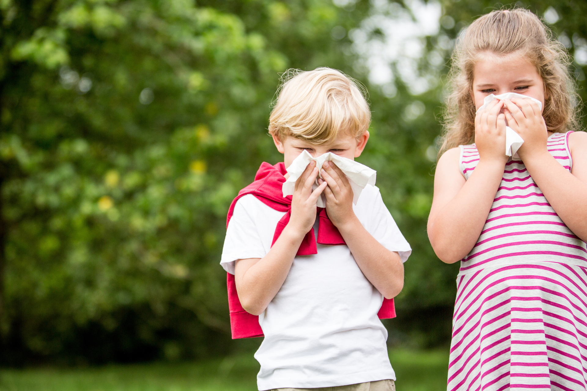 Seasonal Allergies