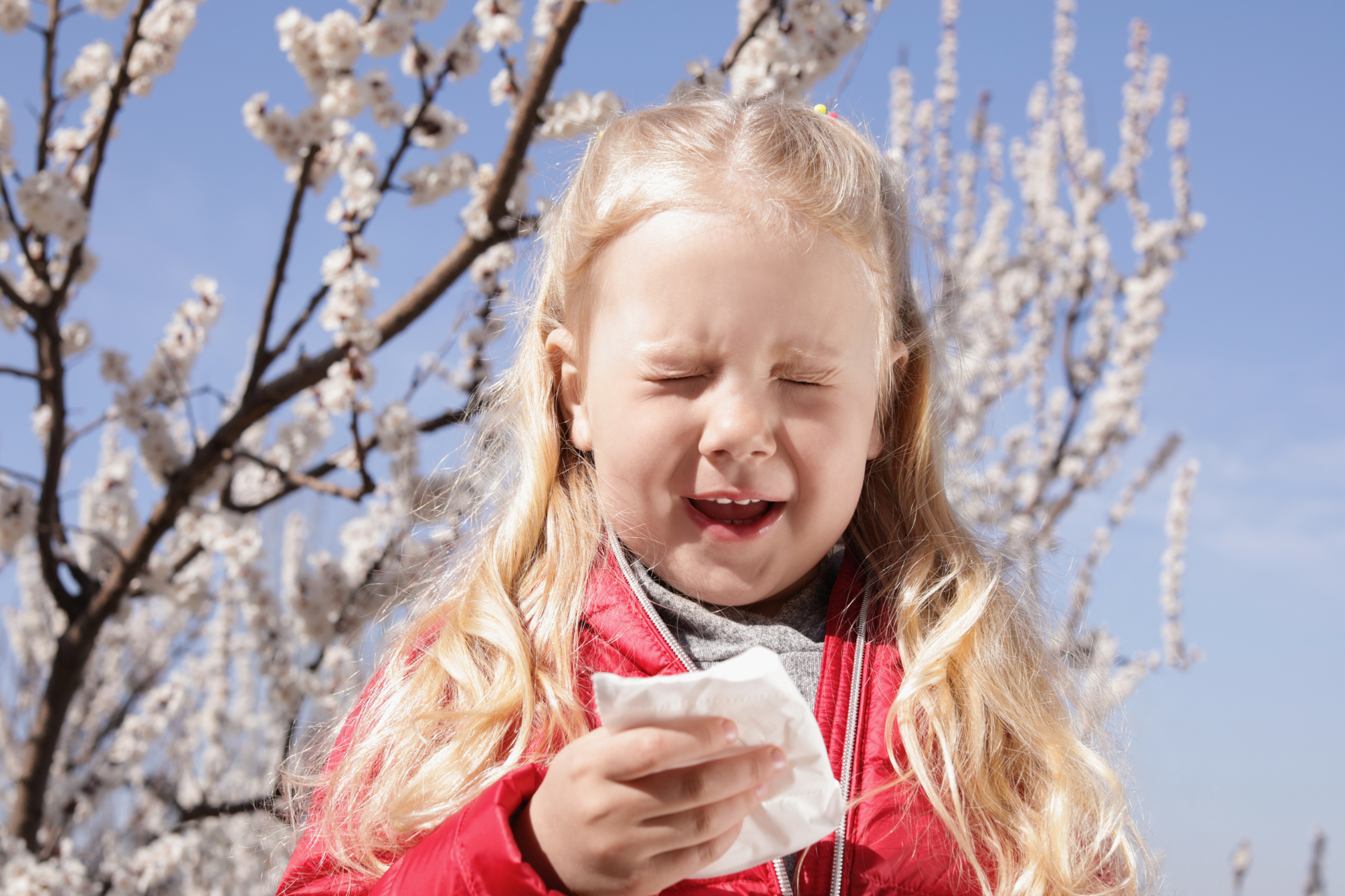 Seasonal Allergies