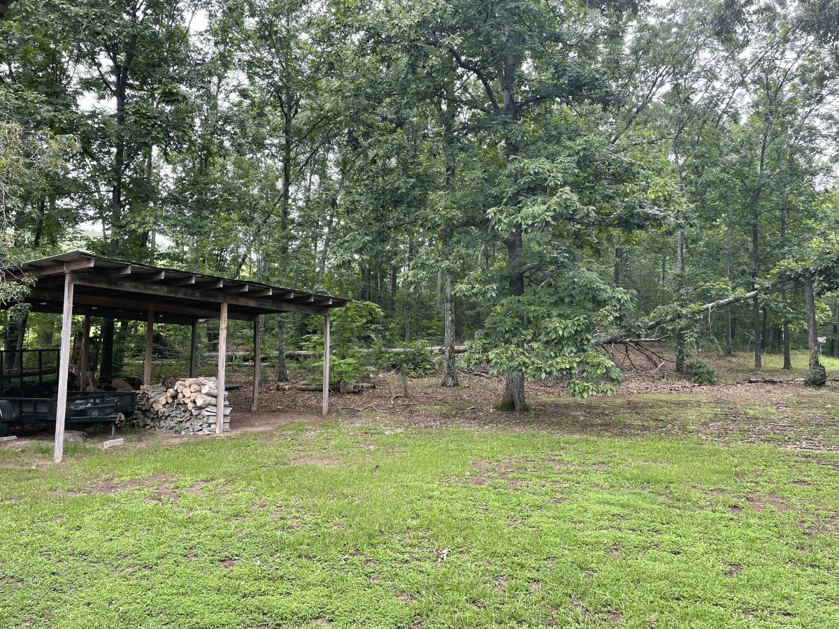 A wooded lot with a shed, firewood, and green grass. Trees are in the background.