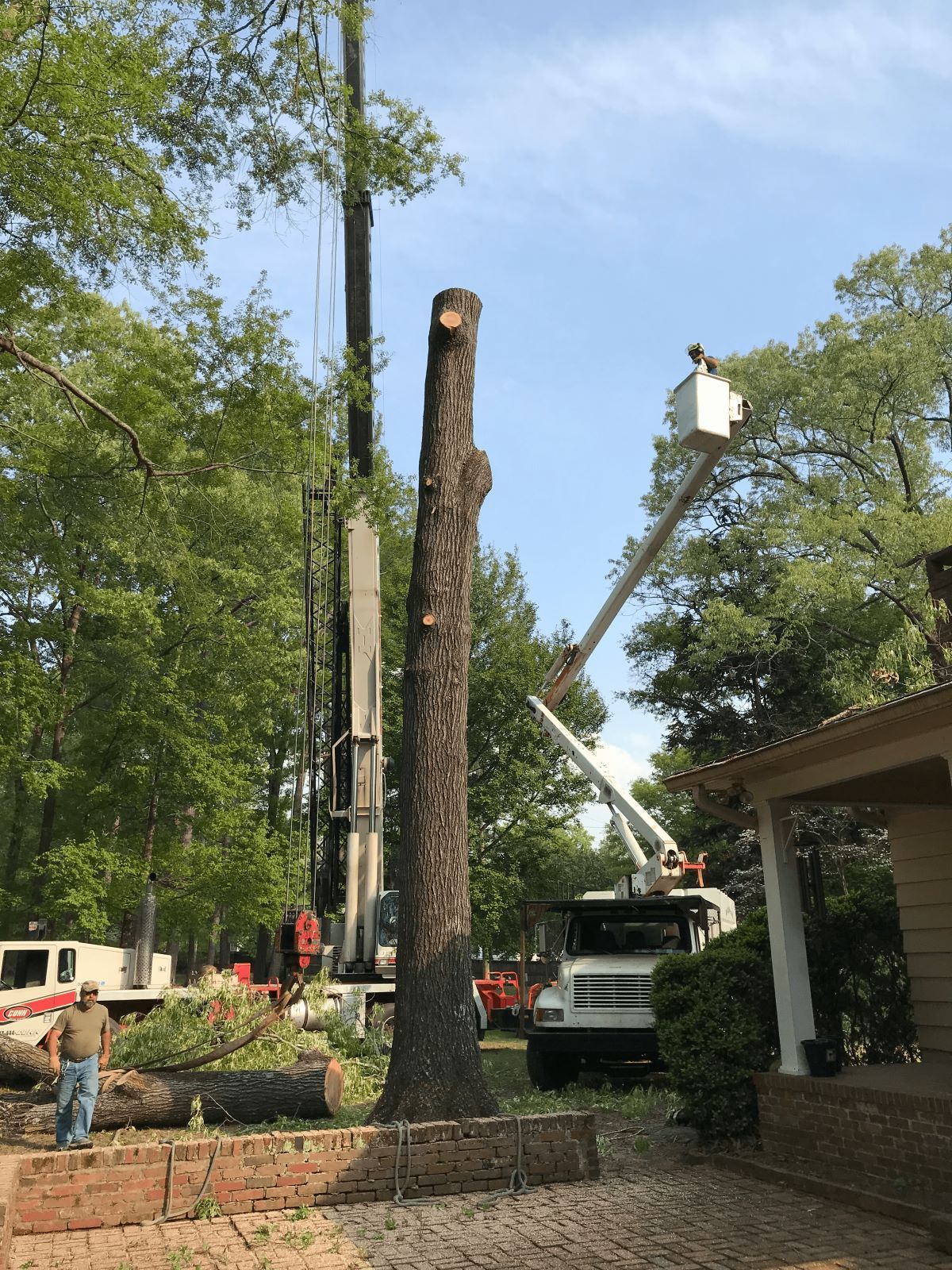 Tree being cut down with a crane and bucket truck in front of a house, with workers in the yard.