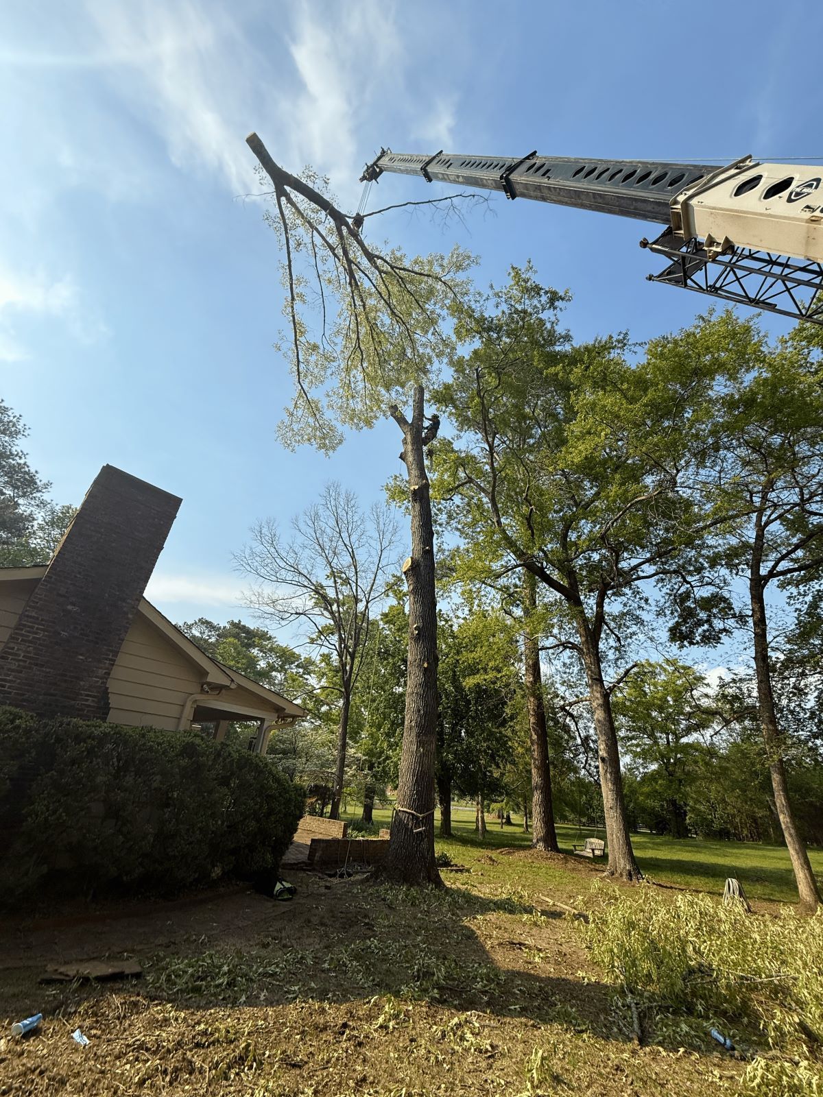 Crane removing tree branches near a house on a sunny day.