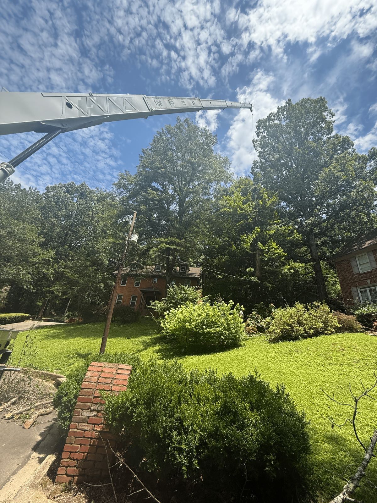A crane trims tall trees over a house with green grass on a sunny day.