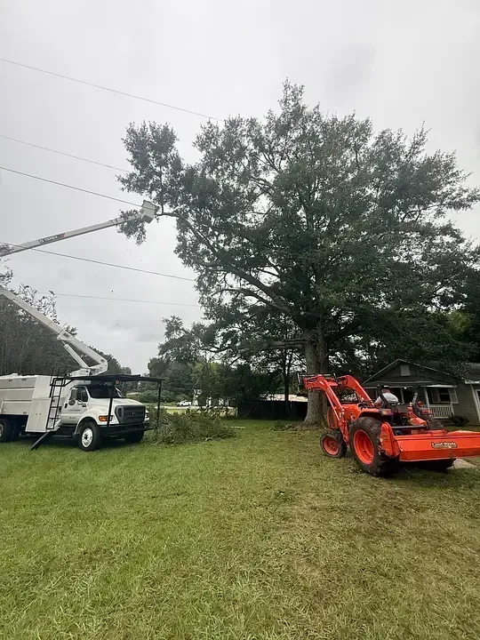 Tree trimming near power lines with a bucket truck and tractor on a grassy lawn.