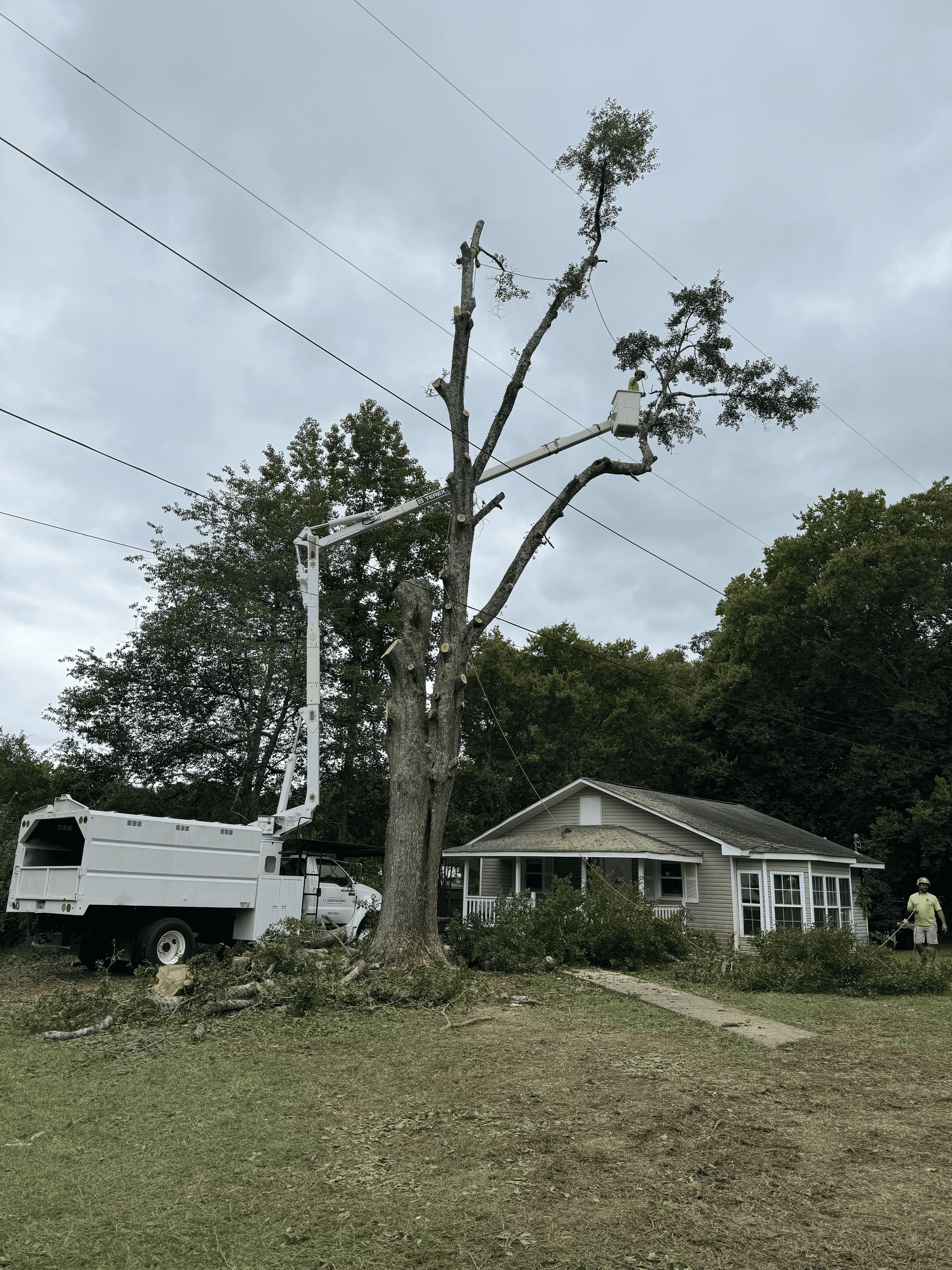 Tree trimming near power lines with a lift truck and small house.