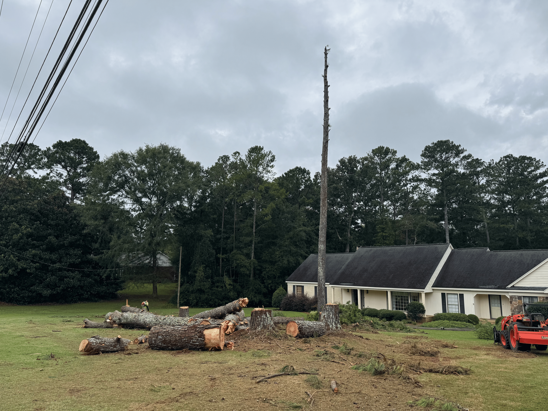 Tree cut down; trunk and logs on grass. House and trees in the background under cloudy sky.