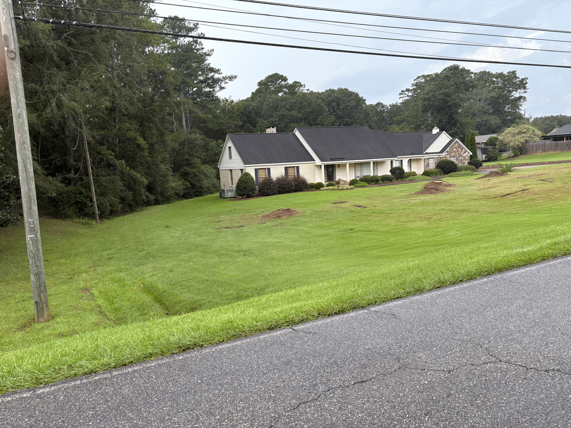 Green lawn slopes down to a road. A long, one-story house with a dark roof sits in the background.