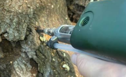 A person injecting a tree with a green and silver insecticide applicator.