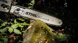 A close-up of a Stihl chainsaw cutting through a mossy log in a forest.