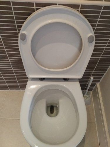 Dirty-toilet-with-lid-up