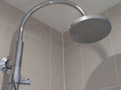 Shower head in shower that needs cleaning