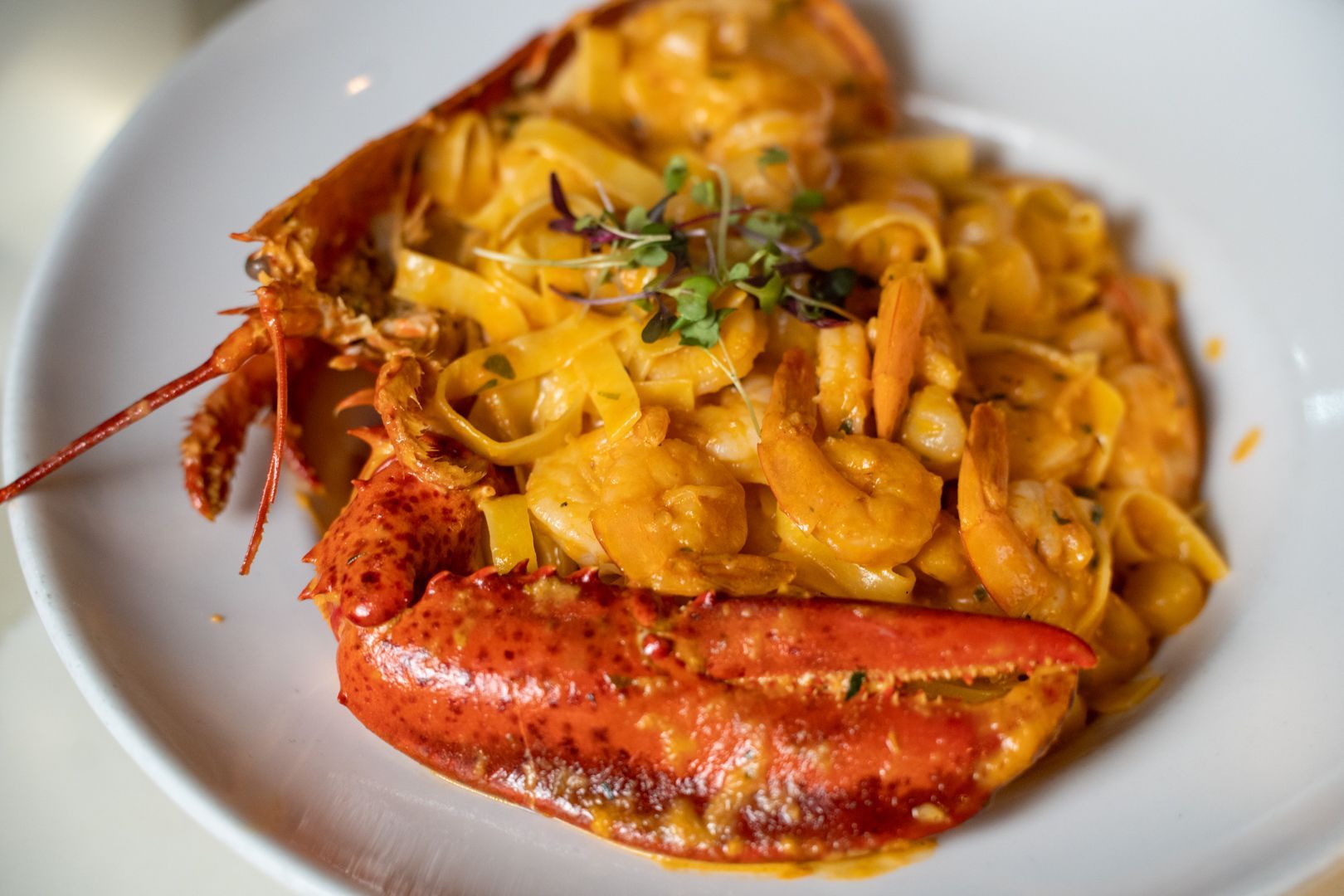 Allegro special Lobster Fettuccine. 