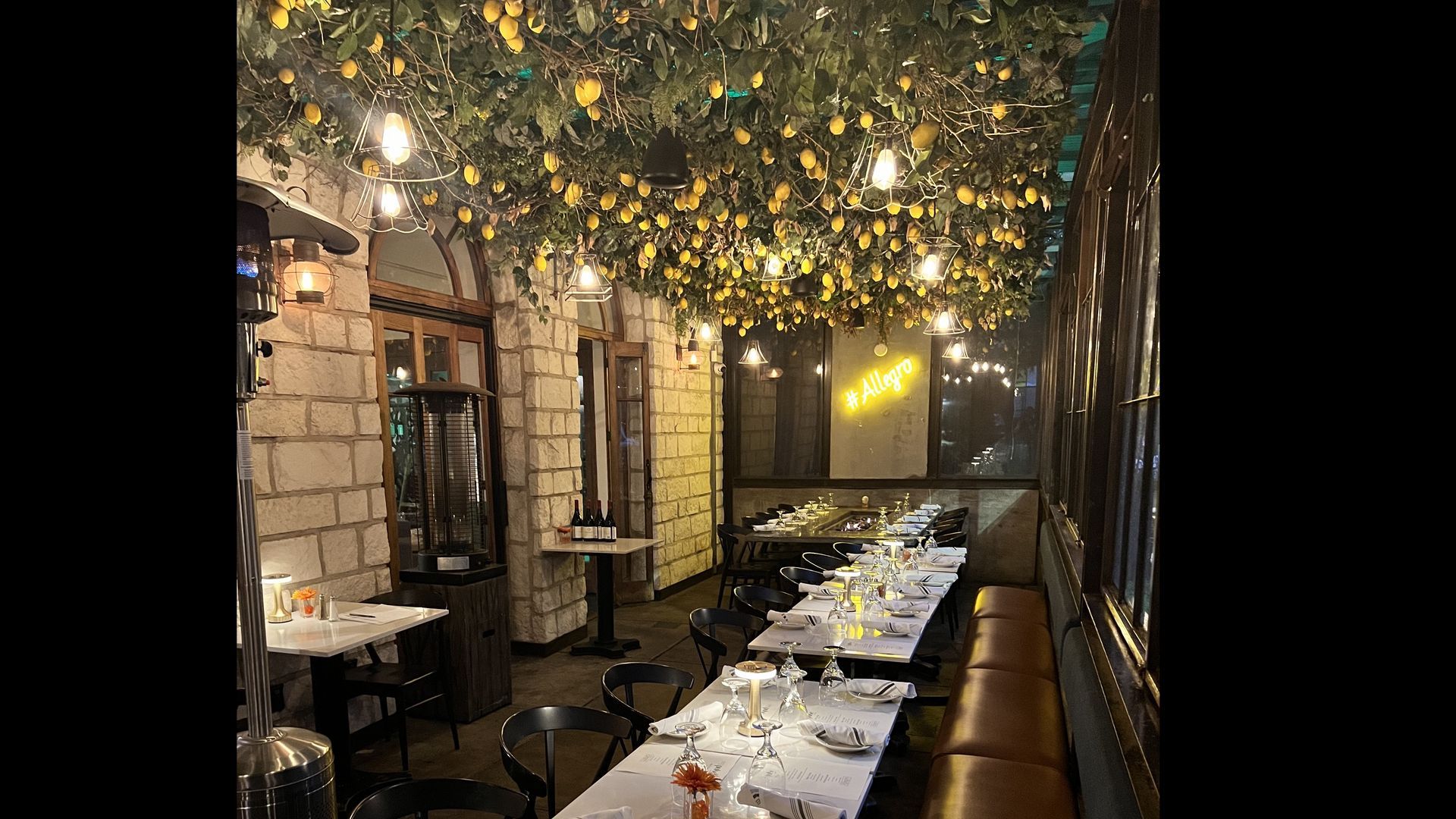 A restaurant with tables and chairs and a tree in the ceiling.