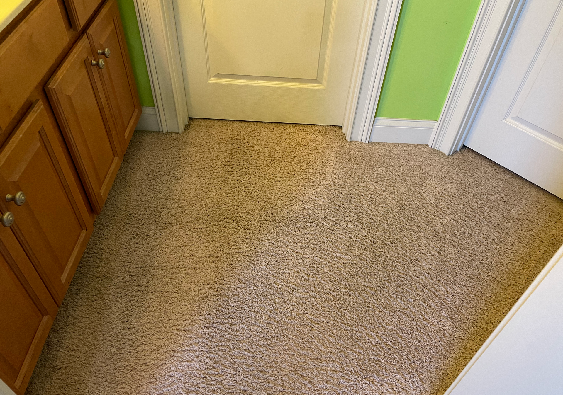 Carpet Restoration in Home