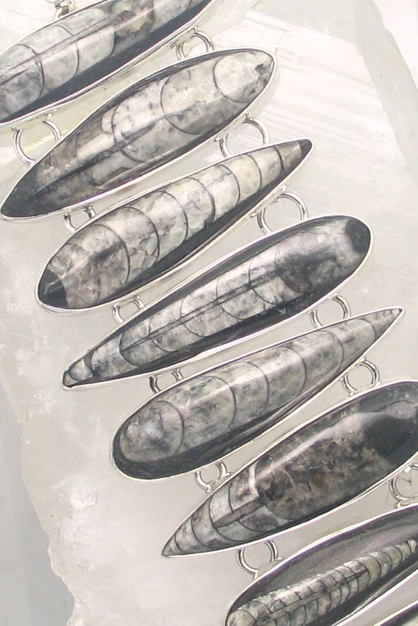 CHAR CBR-037 ORTH  (Orthoceras Fossil)  (Reduced from $579.95)