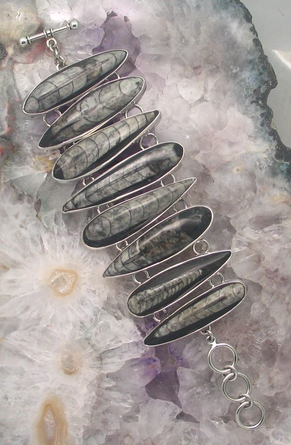 CHAR CBR-037 ORTH  (Orthoceras Fossil)  (Reduced from $579.95)