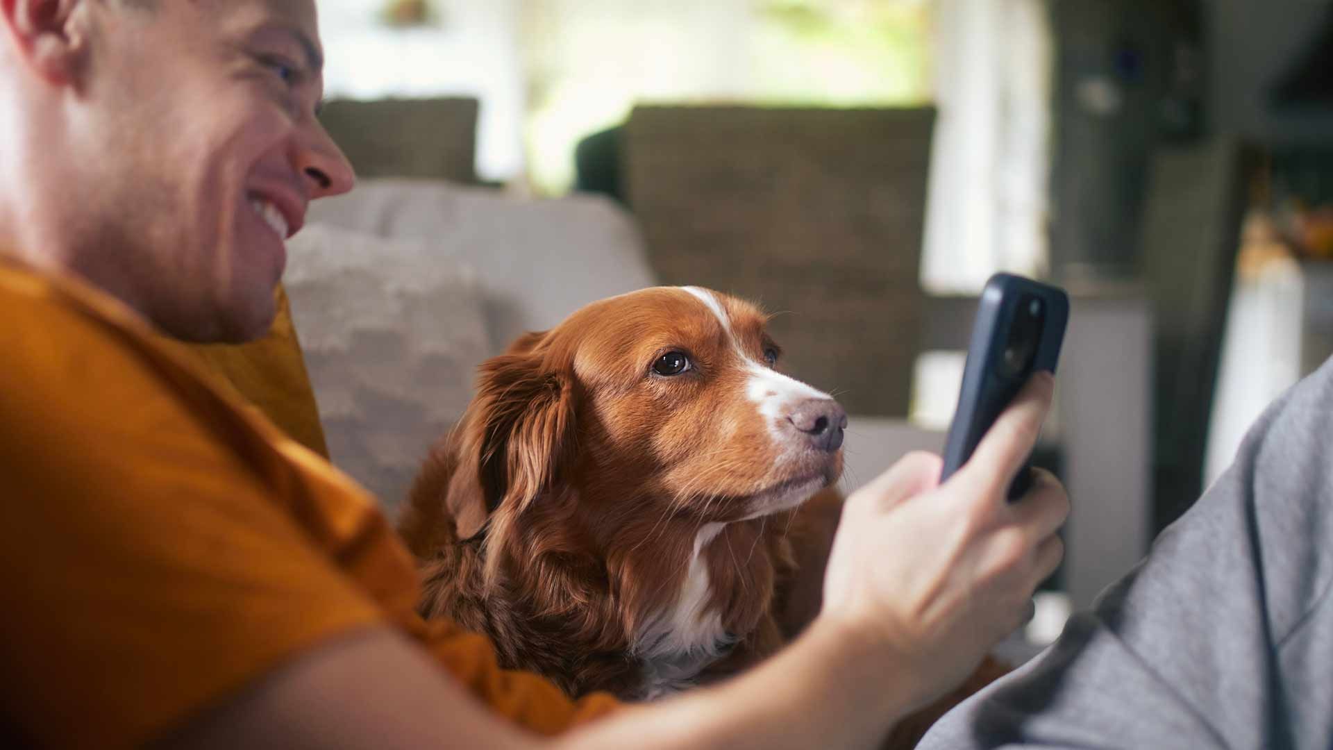 Vet Telemedicine Benalign