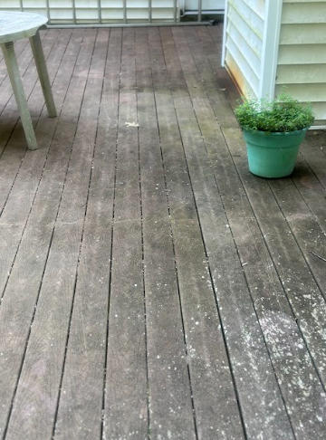 A potted plant is sitting on a wooden deck next to a table.