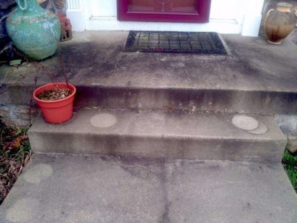 A potted plant is sitting on the steps of a house.