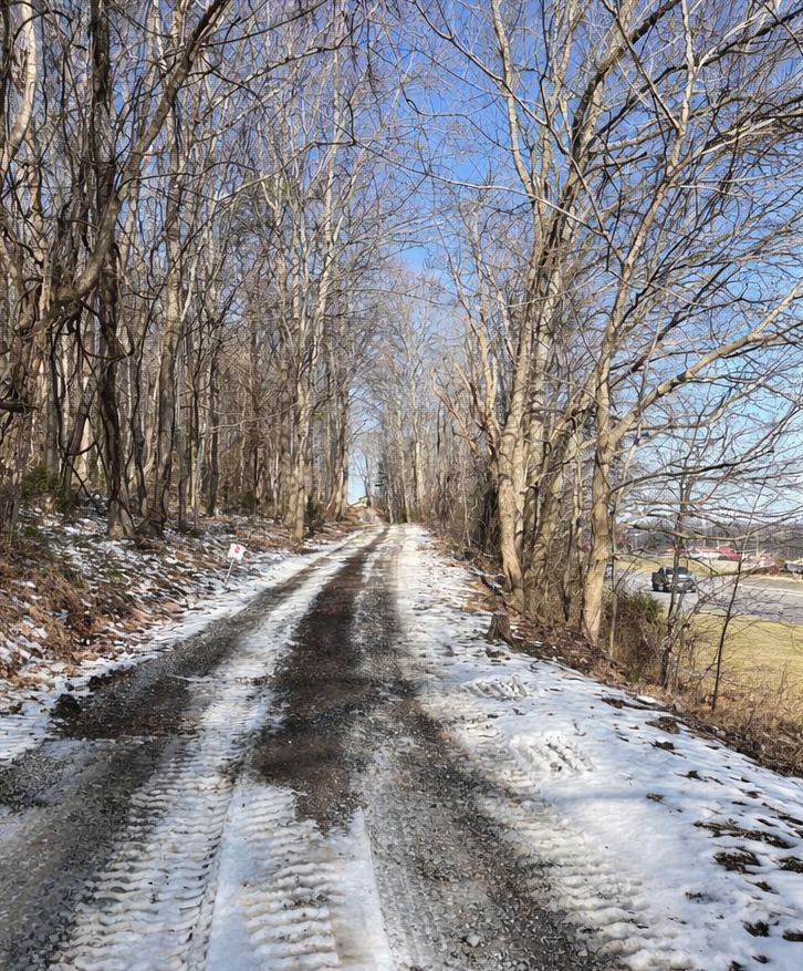 Snow-covered dirt road winds through a bare tree-lined path under a clear, bright sky.