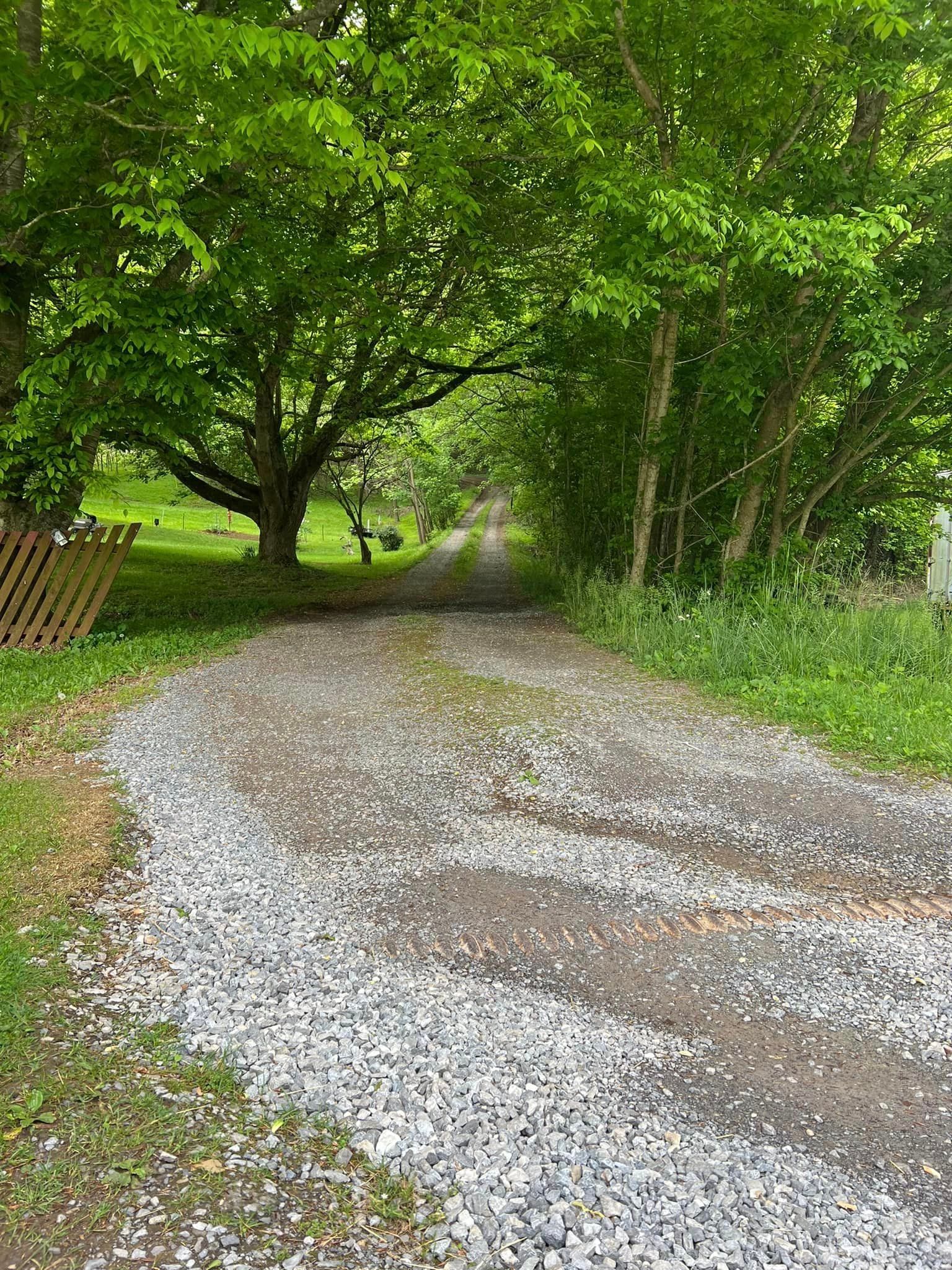 A gravel road going through a forest with trees on both sides.