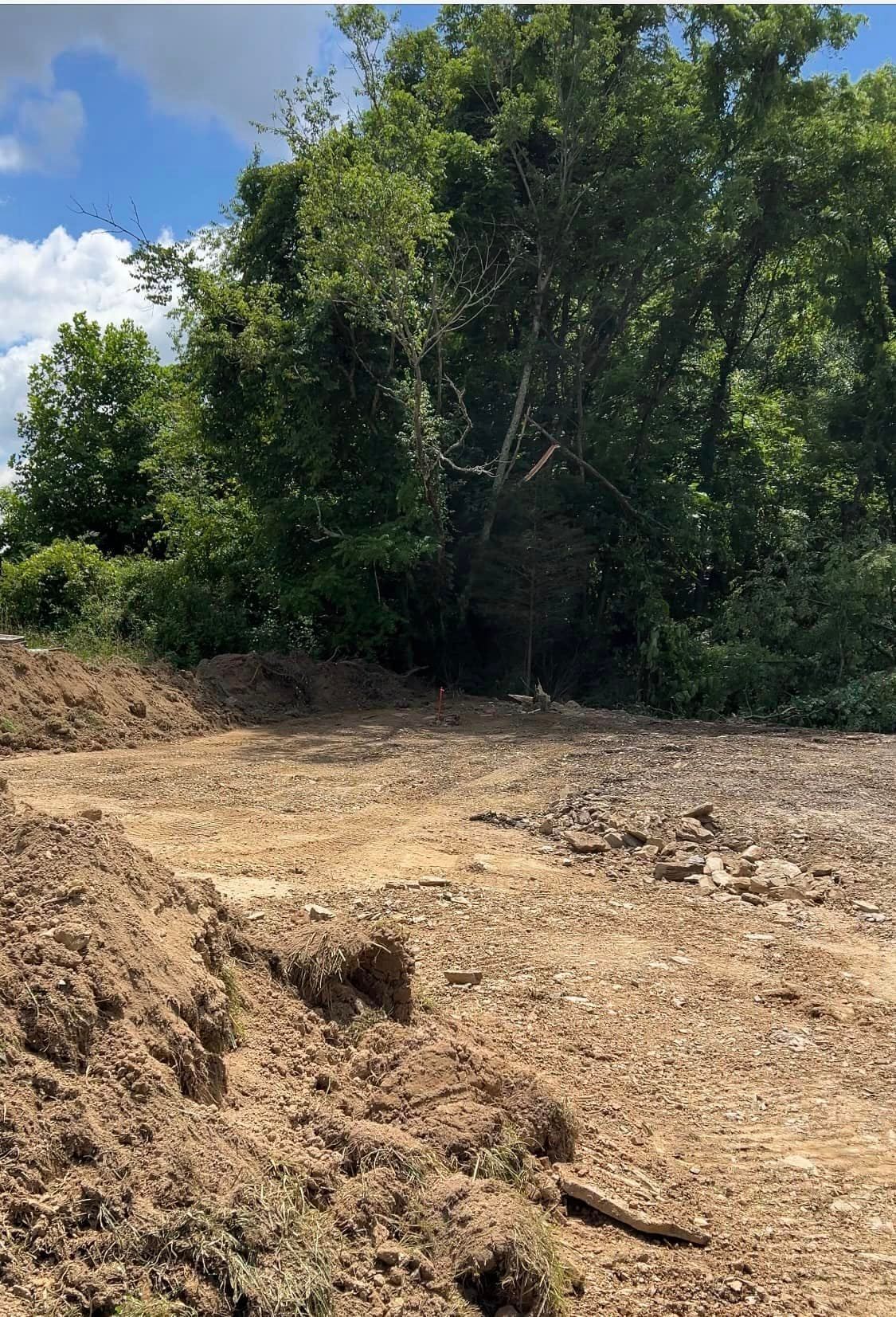 A view of a clearing with exposed brown dirt and rocks, bordered by dense green trees under a blue sky with clouds.