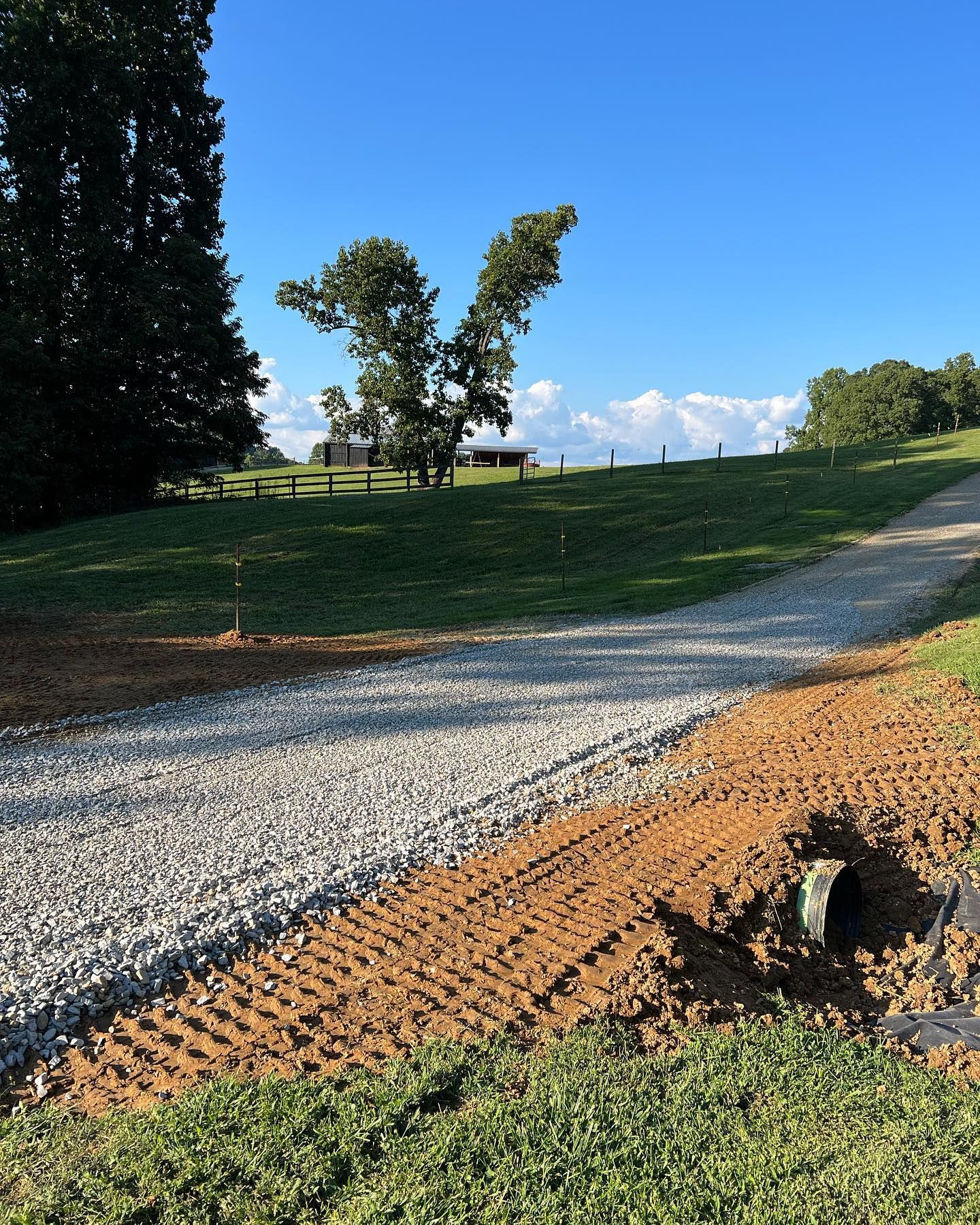 Gravel path leading uphill through a grassy field. A tree shaped like a 