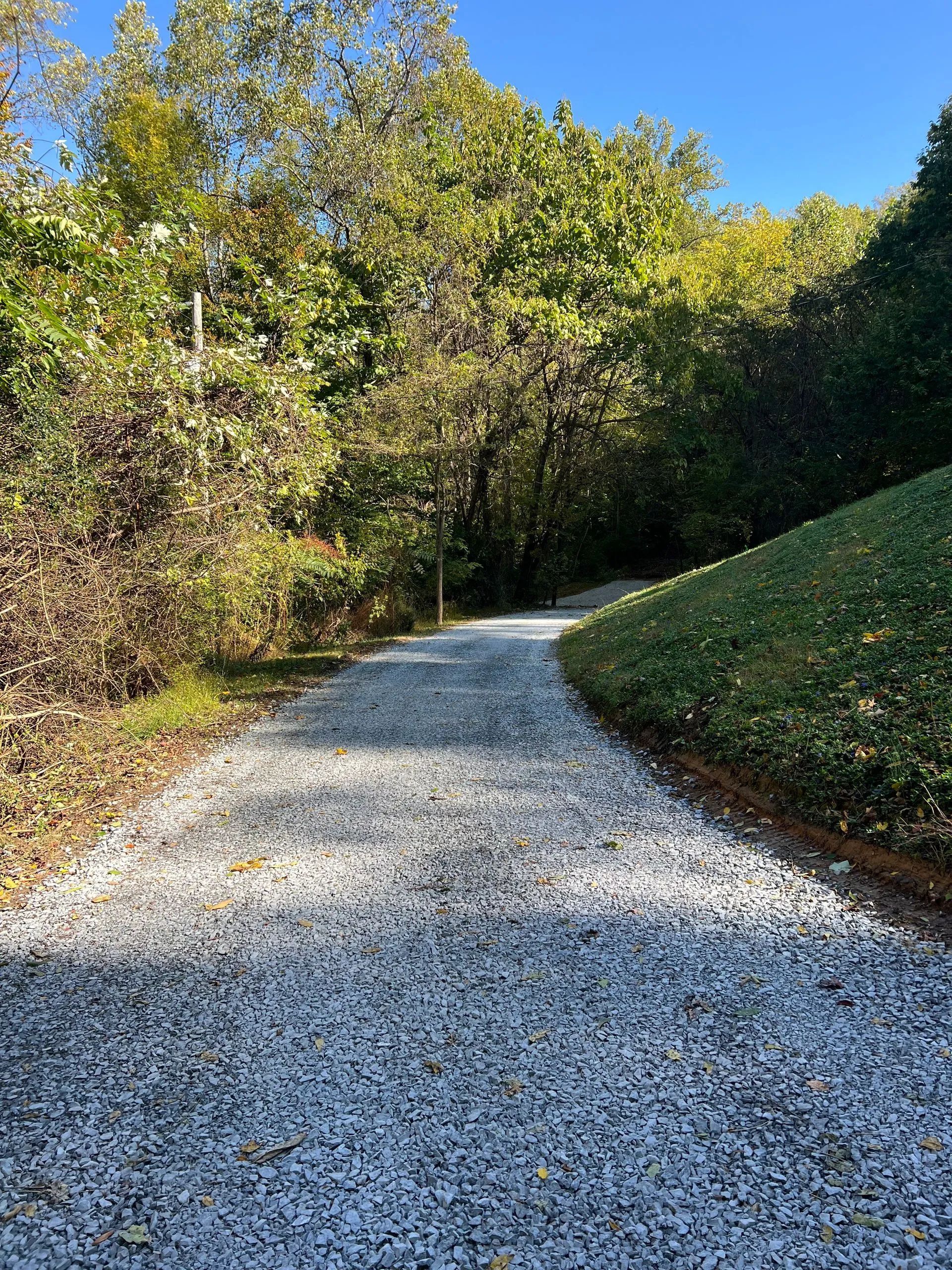 A gravel path curves gently into a sunlit forest, bordered by a green, grassy slope on the right.