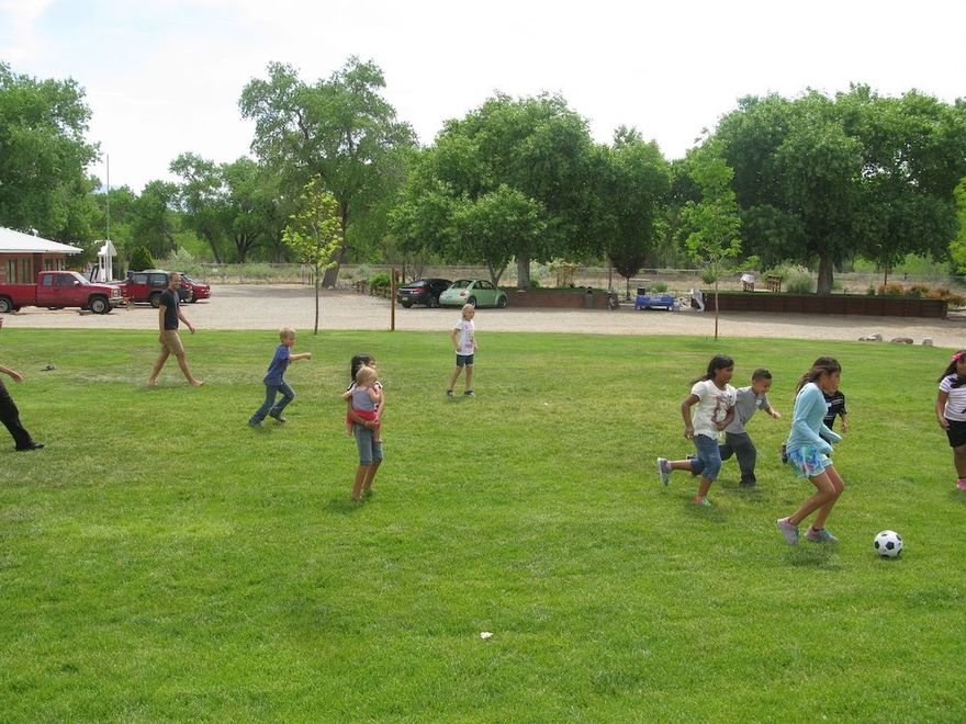 A group of children are playing soccer in a park