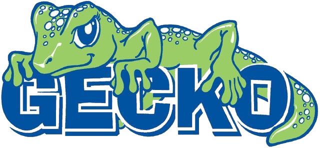 A Green and Blue Logo for Gecko With a Lizard on It — Hastings Podiatry Centre In Port Macquarie, NSW