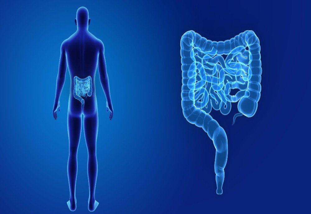 Anorectal Disease at Digestive Diseases Center