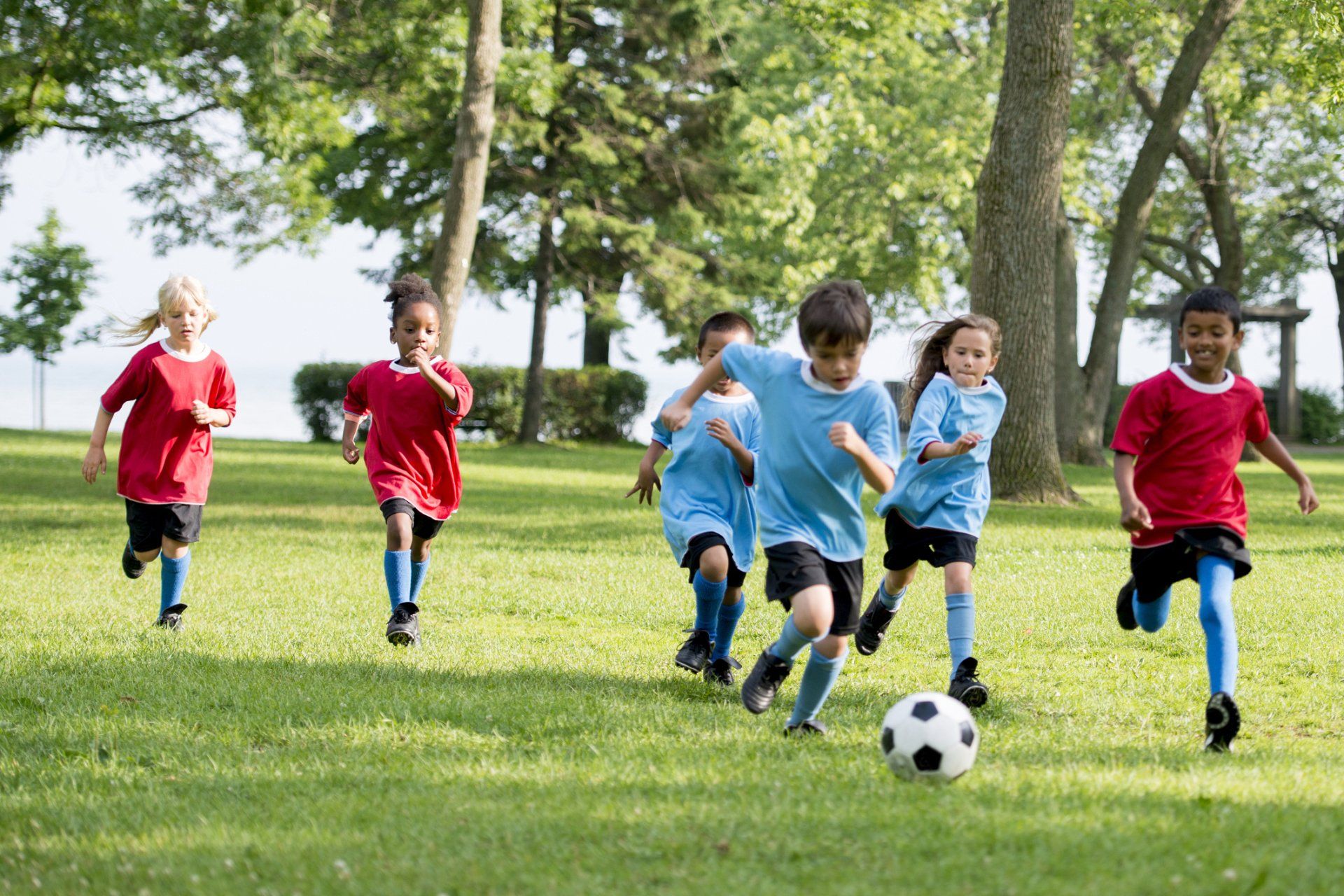 Kids Playing Soccer — Sydney, NSW — Sydney City Podiatry