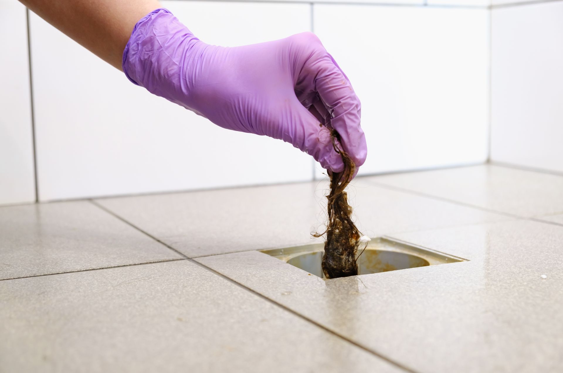 A person wearing purple gloves is cleaning a drain in a bathroom.