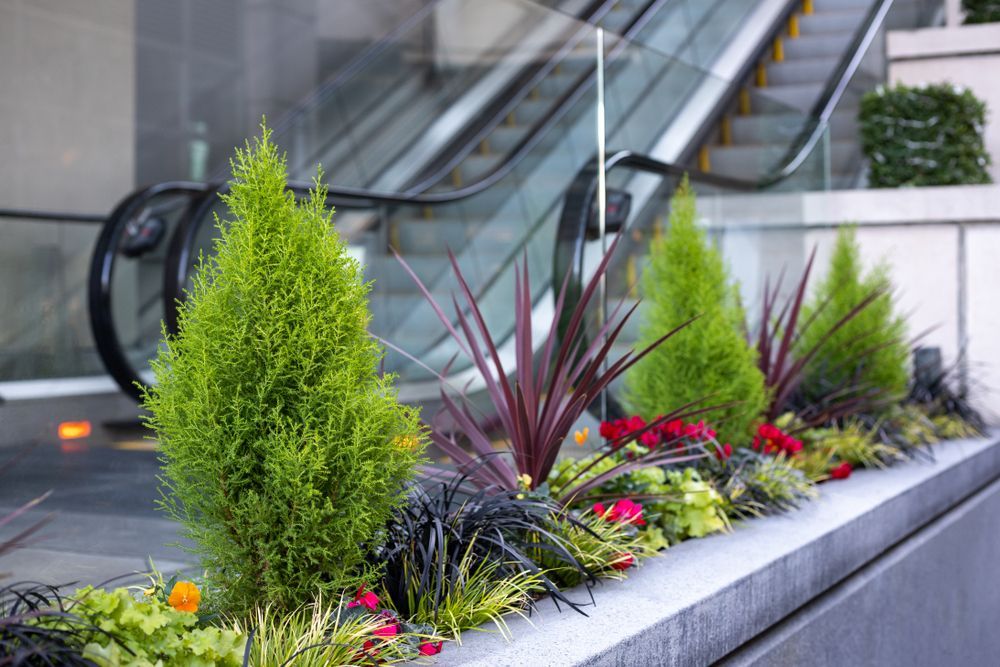 Planter box with evergreens and colorful plants next to an escalator.